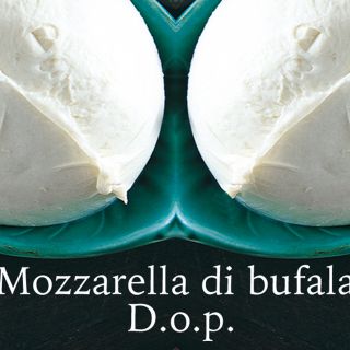 mozzarella bufala